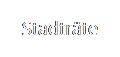 Stadträte